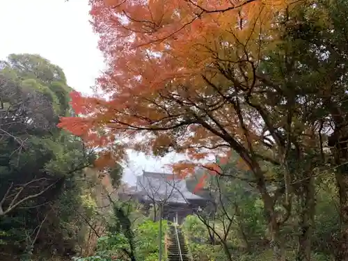 信福寺のその他建物
