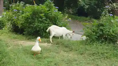 楽法寺（雨引観音）(茨城県)
