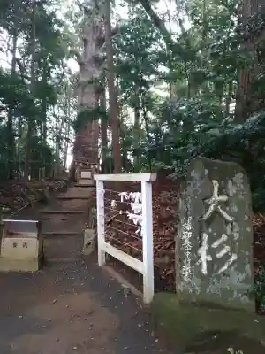 麻賀多神社の{uncategorized: "未分類", other: "その他", undefined: "問題あり", building: "その他建物", grave: "お墓", sacred_gate: "鳥居", guardian: "狛犬", statue: "像", buddha: "仏像", history: "歴史", nature: "自然", garden: "庭園", animal: "動物", pagoda: "塔", temizu: "手水舎", mountain_gate: "山門・神門", sanctuary: "本殿・本堂", subordinate: "末社・摂社", art: "芸術", scenery: "景色", jizo: "地蔵", ema: "絵馬", goshuin: "御朱印", omikuji: "おみくじ", items: "授与品その他", amulet: "お守り", goshuincho: "御朱印帳", eats: "食事", festival: "お祭り", votive_dance: "神楽", shichigosan: "七五三参", wedding: "結婚式", experience: "体験その他", initially: "初詣", around: "周辺", anti_infection: "感染症対策"}