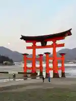 厳島神社の{uncategorized: "未分類", other: "その他", undefined: "問題あり", building: "その他建物", grave: "お墓", sacred_gate: "鳥居", guardian: "狛犬", statue: "像", buddha: "仏像", history: "歴史", nature: "自然", garden: "庭園", animal: "動物", pagoda: "塔", temizu: "手水舎", mountain_gate: "山門・神門", sanctuary: "本殿・本堂", subordinate: "末社・摂社", art: "芸術", scenery: "景色", jizo: "地蔵", ema: "絵馬", goshuin: "御朱印", omikuji: "おみくじ", items: "授与品その他", amulet: "お守り", goshuincho: "御朱印帳", eats: "食事", festival: "お祭り", votive_dance: "神楽", shichigosan: "七五三参", wedding: "結婚式", experience: "体験その他", initially: "初詣", around: "周辺", anti_infection: "感染症対策"}