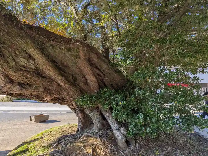 鹿島神宮(茨城県)