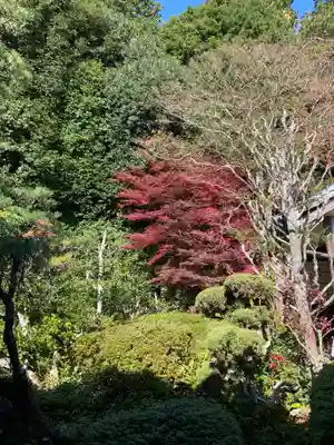 大池寺(滋賀県)