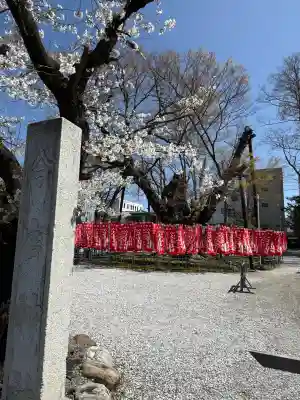 秩父今宮神社(埼玉県)