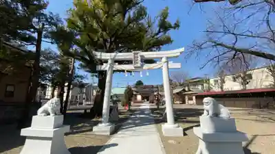 本町南町八幡神社の鳥居