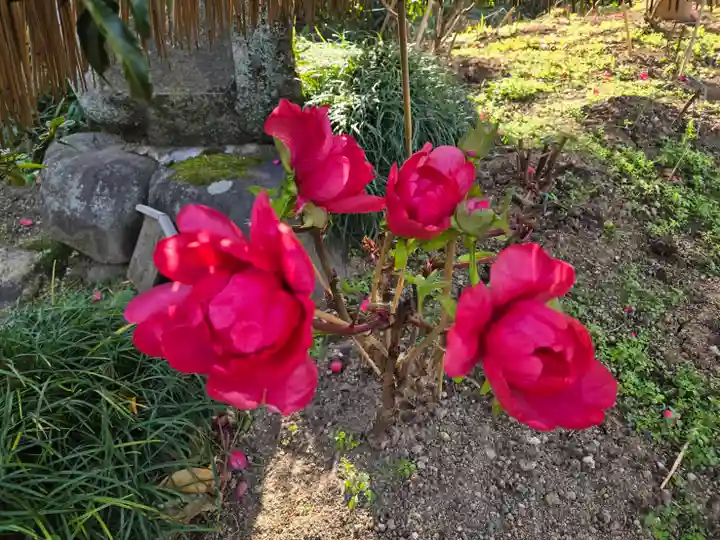 石光寺(奈良県)