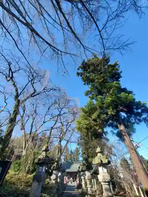 神炊館神社 ⁂奥州須賀川総鎮守⁂(福島県)