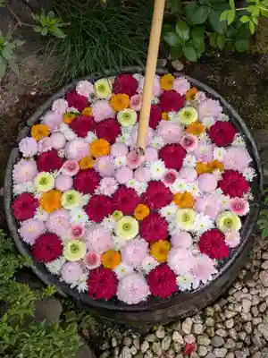 心行寺(東京都)