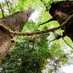 川越氷川神社(埼玉県)