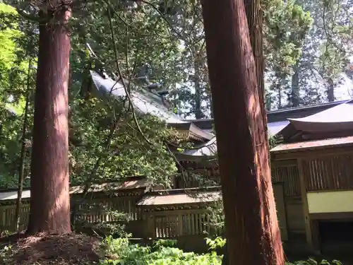飛驒一宮水無神社(岐阜県)