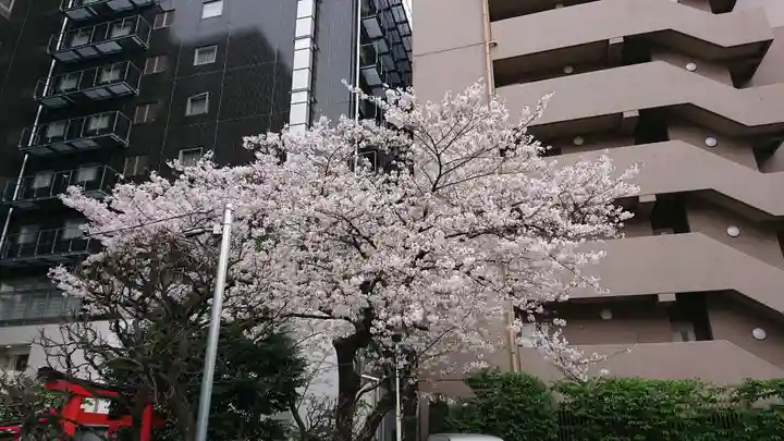 羽衣町厳島神社(関内厳島神社・横浜弁天)の自然