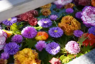 豊景神社の手水舎