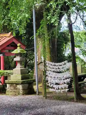 安住神社の自然