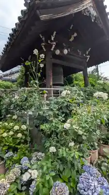 おふさ観音（観音寺）(奈良県)