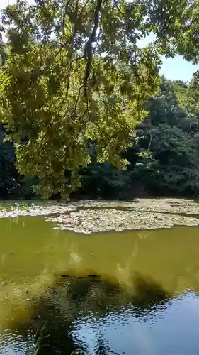 明治神宮の自然