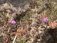 国宝 大法寺(長野県)