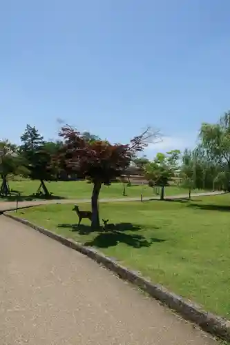東大寺戒壇院千手堂の動物