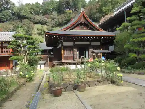 岡寺（龍蓋寺）の本殿