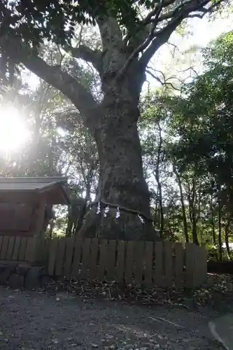 磯神社(三重県)