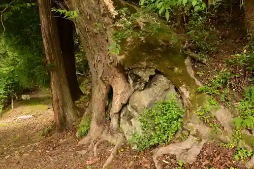 栗枝渡神社(徳島県)