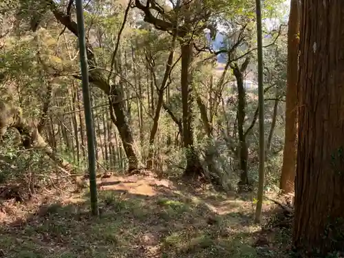 八坂神社の自然