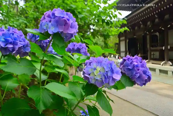 円覚寺(神奈川県)