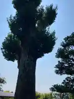 霊寿院(神奈川県)