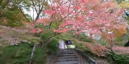 出雲大神宮の自然