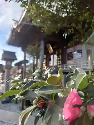 叶神社 (西叶神社)(神奈川県)