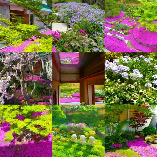 寿量山　速成寺(奈良県)