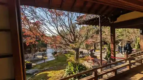 勝林寺の庭園