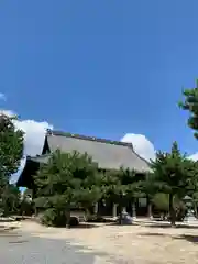 百萬遍知恩寺の本殿