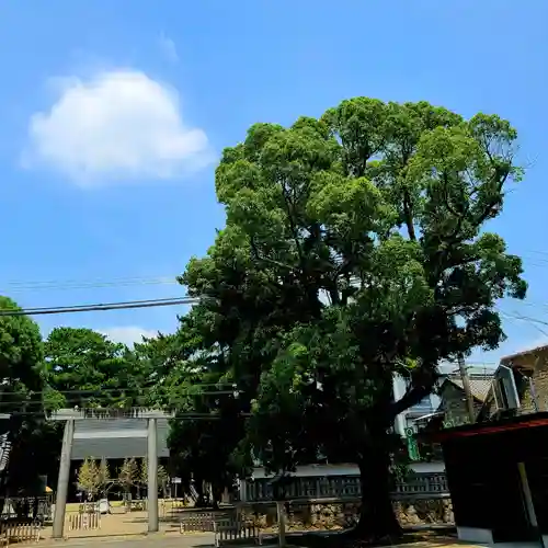 安久美神戸神明社(愛知県)