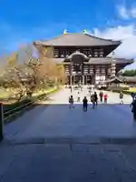 東大寺(奈良県)