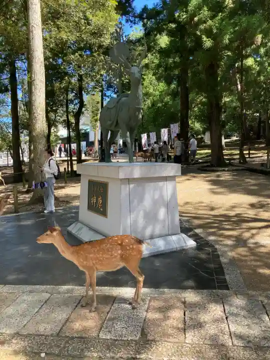 春日大社(奈良県)