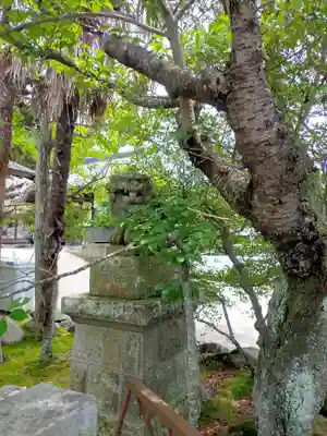小名浜諏訪神社 ~海の鎮守様~の狛犬
