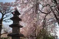 願成寺(山梨県)