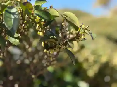 西方山極楽寺(岐阜県)