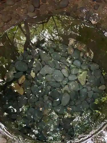 明治神宮(東京都)