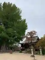 飛騨国分寺の本殿・本堂