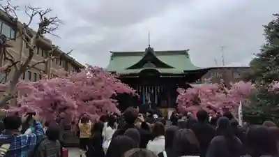 桜神宮(東京都)