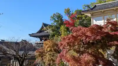 くろ谷 金戒光明寺(京都府)