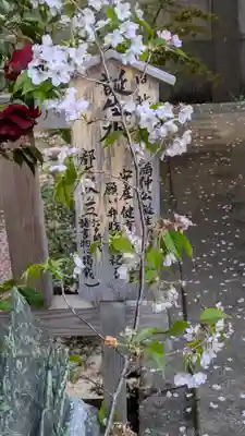 六孫王神社(京都府)