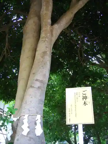 八幡神社(神奈川県)