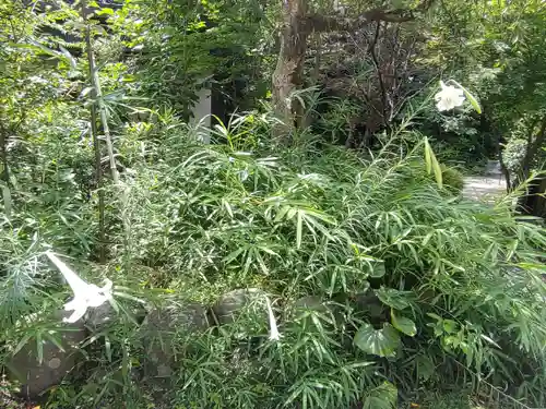 報徳二宮神社(神奈川県)