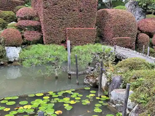 長興寺(長野県)