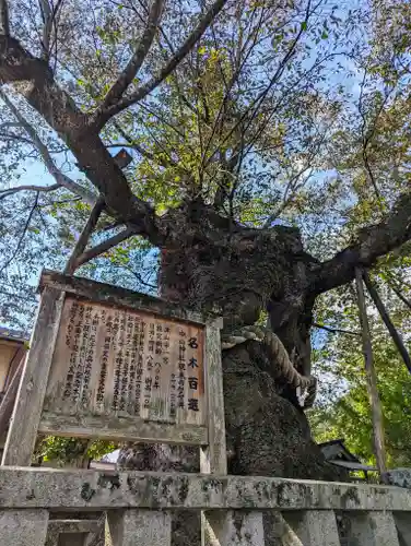 中山神社(岡山県)