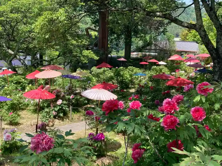 遠照寺(長野県)