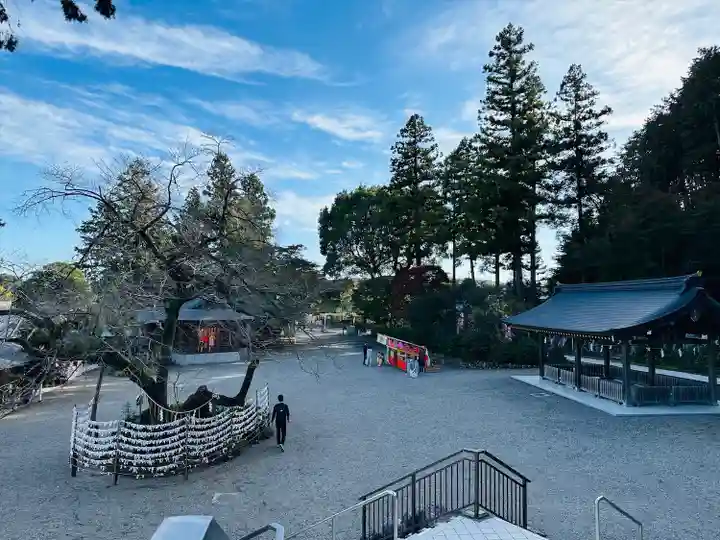 高麗神社(埼玉県)