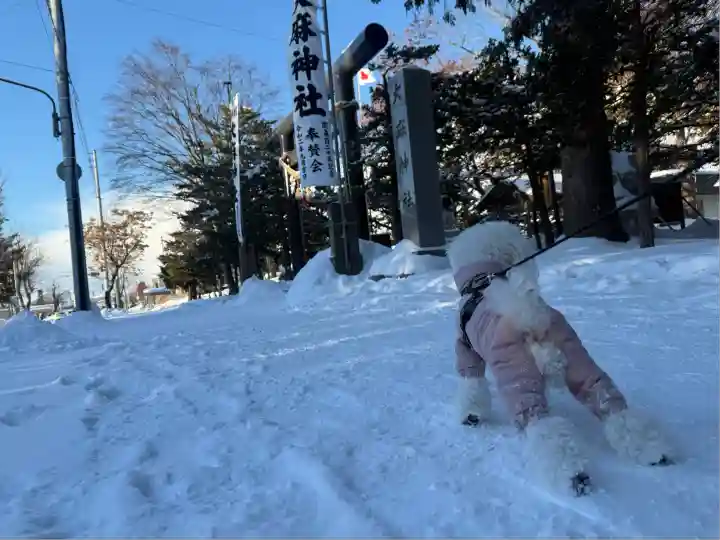 大麻神社(北海道)