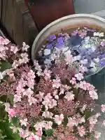 極楽寺(静岡県)